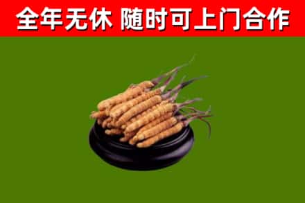 东源县烟酒回收冬虫夏草.jpg