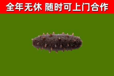 东源县烟酒回收干海参.jpg